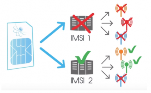 MVN diagram 